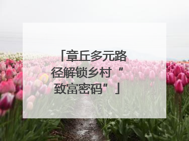 章丘多元路径解锁乡村“致富密码”