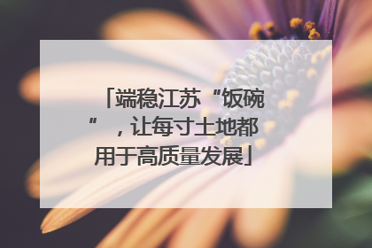 端稳江苏“饭碗”，让每寸土地都用于高质量发展
