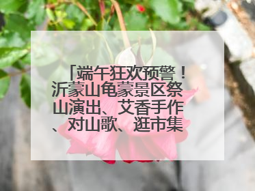 端午狂欢预警！沂蒙山龟蒙景区祭山演出、艾香手作、对山歌、逛市集！速来嗨玩~