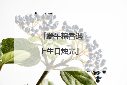 端午粽香遇上生日烛光