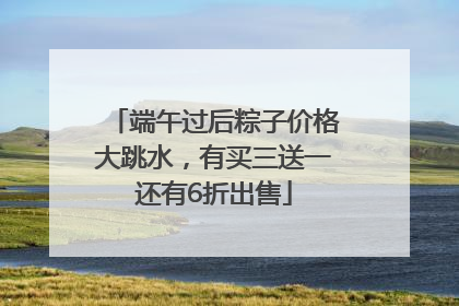 端午过后粽子价格大跳水，有买三送一还有6折出售