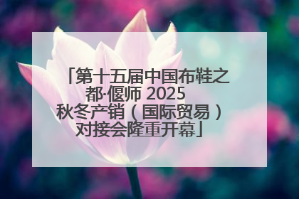 第十五届中国布鞋之都·偃师 2025 秋冬产销（国际贸易）对接会隆重开幕