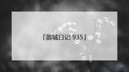 翁城日记 935