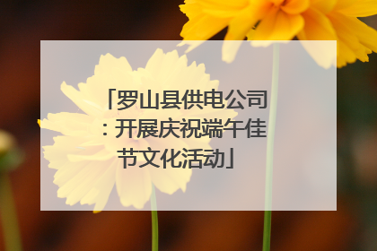 罗山县供电公司：开展庆祝端午佳节文化活动