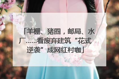 羊棚、猪圈，邮局、水厂……看废弃建筑“花式逆袭”成网红村咖