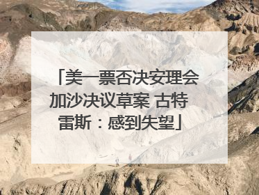 美一票否决安理会加沙决议草案 古特雷斯：感到失望