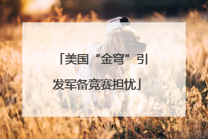 美国“金穹”引发军备竞赛担忧