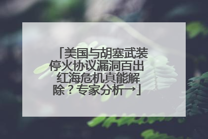 美国与胡塞武装停火协议漏洞百出 红海危机真能解除？专家分析→