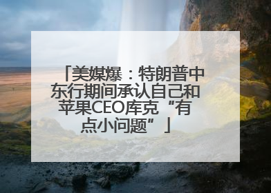 美媒爆：特朗普中东行期间承认自己和苹果CEO库克“有点小问题”