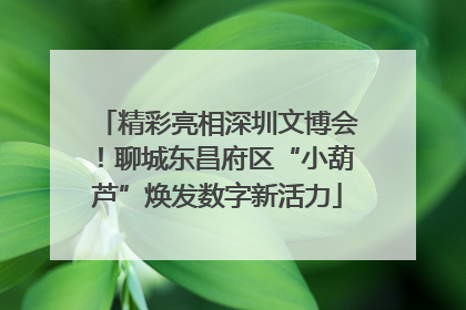 精彩亮相深圳文博会！聊城东昌府区“小葫芦”焕发数字新活力