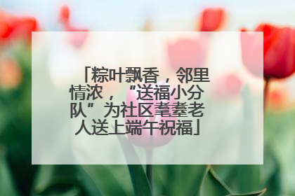 粽叶飘香，邻里情浓，“送福小分队”为社区耄耋老人送上端午祝福