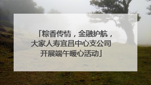 粽香传情，金融护航，大家人寿宜昌中心支公司开展端午暖心活动
