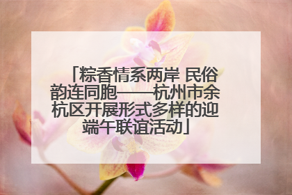 粽香情系两岸 民俗韵连同胞——杭州市余杭区开展形式多样的迎端午联谊活动