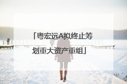 粤宏远A拟终止筹划重大资产重组