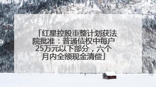 红星控股重整计划获法院批准：普通债权中每户25万元以下部分，六个月内全额现金清偿