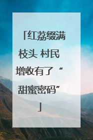 红荔缀满枝头 村民增收有了“甜蜜密码”