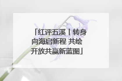 红评五溪丨转身向海启新程 共绘开放共赢新蓝图