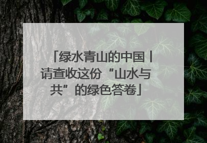绿水青山的中国丨请查收这份“山水与共”的绿色答卷