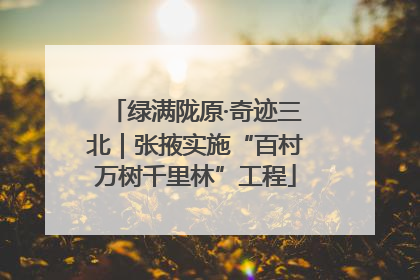 绿满陇原·奇迹三北｜张掖实施“百村万树千里林”工程