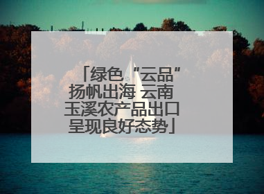 绿色“云品”扬帆出海 云南玉溪农产品出口呈现良好态势