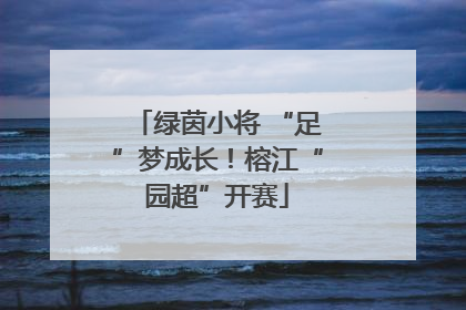 绿茵小将 “足”梦成长！榕江“园超”开赛