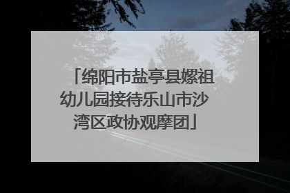 绵阳市盐亭县嫘祖幼儿园接待乐山市沙湾区政协观摩团