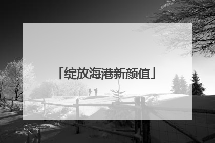 绽放海港新颜值