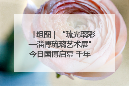 组图｜“琉光璃彩—淄博琉璃艺术展”今日国博启幕 千年窑火绽放京城