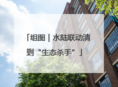 组图｜水陆联动清剿“生态杀手”