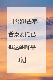 绍伊古奉普京委托已抵达朝鲜平壤