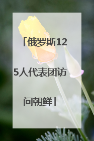 俄罗斯125人代表团访问朝鲜