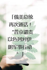俄美总统再次通话！“普京谴责以色列对伊朗军事行动”