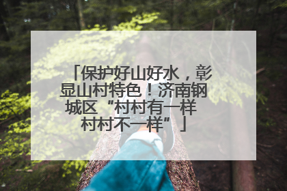 保护好山好水，彰显山村特色！济南钢城区“村村有一样 村村不一样”