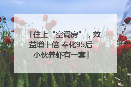 住上“空调房”，效益增十倍 奉化95后小伙养虾有一套