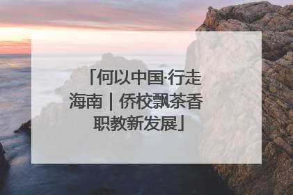 何以中国·行走海南｜侨校飘茶香 职教新发展