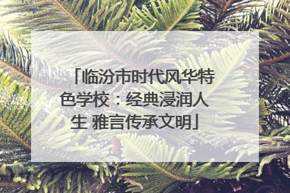 临汾市时代风华特色学校：经典浸润人生 雅言传承文明