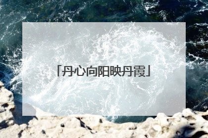 丹心向阳映丹霞