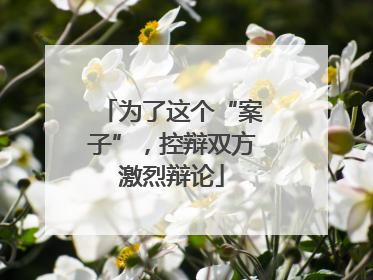 为了这个“案子”，控辩双方激烈辩论