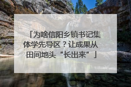为啥信阳乡镇书记集体学先导区？让成果从田间地头“长出来”