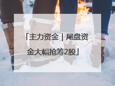 主力资金｜尾盘资金大幅抢筹2股