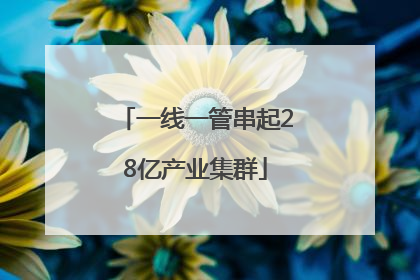 一线一管串起28亿产业集群