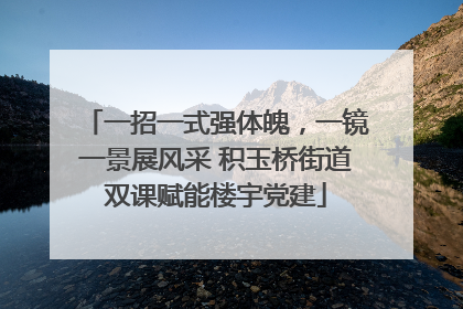 一招一式强体魄，一镜一景展风采 积玉桥街道双课赋能楼宇党建