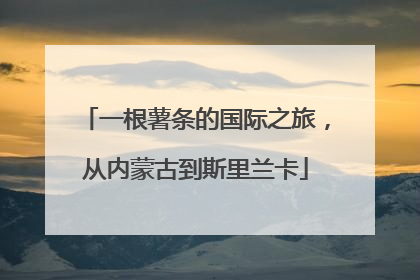 一根薯条的国际之旅，从内蒙古到斯里兰卡