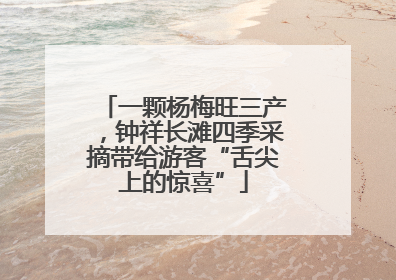 一颗杨梅旺三产，钟祥长滩四季采摘带给游客“舌尖上的惊喜”