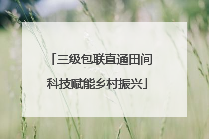 三级包联直通田间 科技赋能乡村振兴