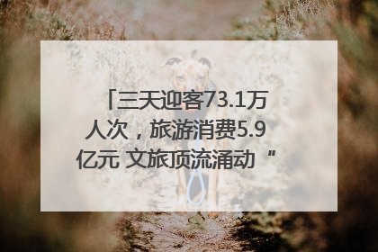 三天迎客73.1万人次，旅游消费5.9亿元 文旅顶流涌动“江宁style”