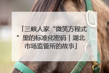三峡人家“微笑方程式”里的标准化密码｜湖北市场监管所的故事