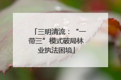 三明清流：“一带三”模式破局林业执法困境