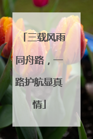 三载风雨同舟路，一路护航显真情