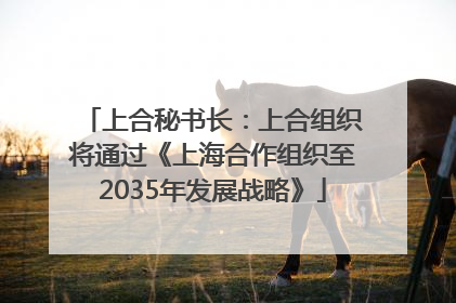 上合秘书长：上合组织将通过《上海合作组织至2035年发展战略》